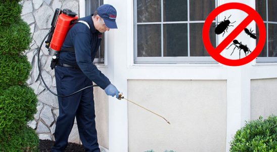 Yayladere Kene İlaçlama böcek ilaçlama ve haşere kontrolü — ilaclama-tr.com